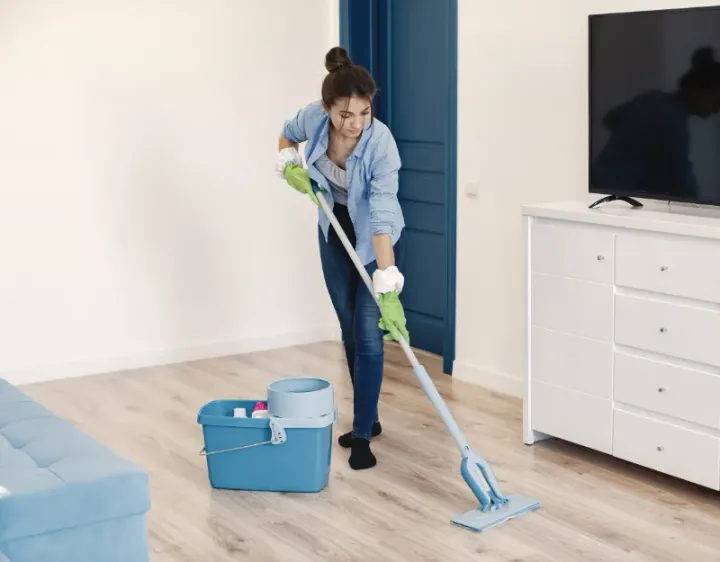 Femme de ménage Sandillon